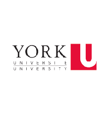 York University